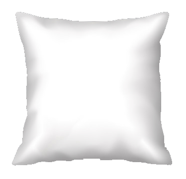 Throw Pillow Case with Pillow included 17" X 17"